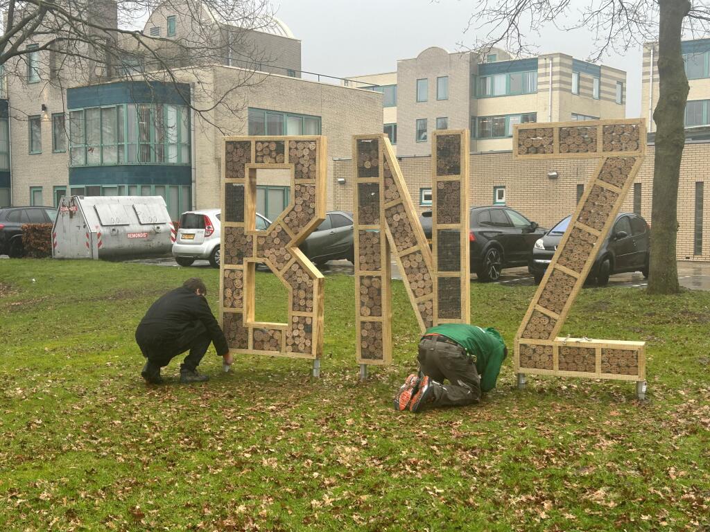 🌿 𝗘𝗲𝗿𝘀𝘁𝗲 𝗕𝗡𝗭‑𝗯𝗶𝗷𝗲𝗻𝗵𝗼𝘁𝗲𝗹𝘀 𝗴𝗲𝗽𝗹𝗮𝗮𝘁𝘀𝘁! 🐝